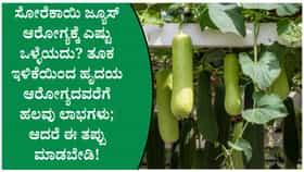 ಸೋರೆಕಾಯಿ ಜ್ಯೂಸ್‌ನಿಂದ ದೇಹಕ್ಕೆ ಸಿಗುವ ಅದ್ಭುತ ಆರೋಗ್ಯ ಪ್ರಯೋಜನಗಳು