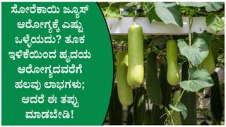 ಸೋರೆಕಾಯಿ ಜ್ಯೂಸ್ ಕುಡಿಯುವವರೇ ಗಮನಿಸಿ! ಹೃದಯ, ಜೀರ್ಣಕ್ರಿಯೆ, ತೂಕ ಇಳಿಕೆಗೆ ಸಿಗುವ ಆರೋಗ್ಯ ಲಾಭಗಳು