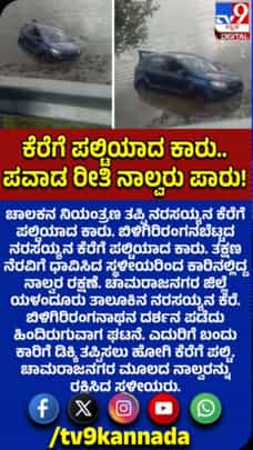 ಕೆರೆಗೆ ಬಿದ್ದ ಕಾರು: ಅದೃಷ್ಟವಶಾತ್​​ ಪ್ರಯಾಣಿಕರು ಪಾರು