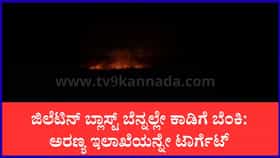 ಚಾಮರಾಜನಗರ: ಎನ್‌ಕೌಂಟರ್ ಪ್ರತಿಕಾರಕ್ಕೆ ಅರಣ್ಯವೇ ಬಲಿ