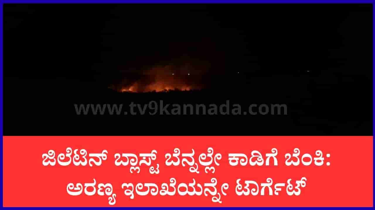 ಚಾಮರಾಜನಗರ: ಎನ್ಕೌಂಟರ್ ಪ್ರತಿಕಾರಕ್ಕೆ ಅರಣ್ಯವೇ ಬಲಿ: ಮಲೆ ಮಹದೇಶ್ವರ ಬೆಟ್ಟದ 10 ಎಕರೆ ಕಾಡಿಗೆ ಬೆಂಕಿ