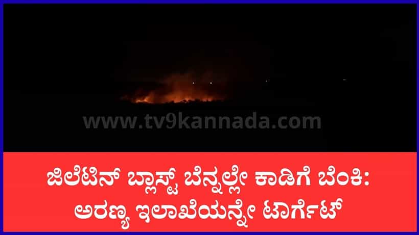 ಚಾಮರಾಜನಗರ: ಎನ್ಕೌಂಟರ್ ಪ್ರತಿಕಾರಕ್ಕೆ ಅರಣ್ಯವೇ ಬಲಿ: ಮಲೆ ಮಹದೇಶ್ವರ ಬೆಟ್ಟದ 10 ಎಕರೆ ಕಾಡಿಗೆ ಬೆಂಕಿ