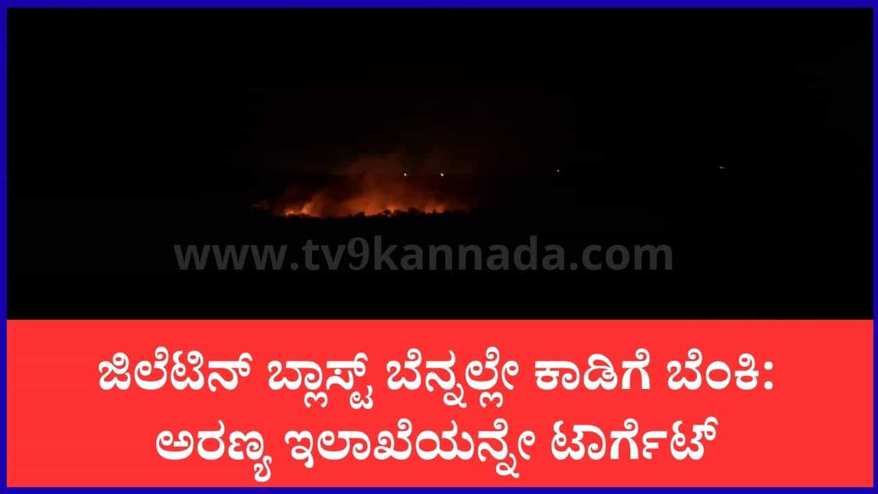 ಚಾಮರಾಜನಗರ: ಎನ್ಕೌಂಟರ್ ಪ್ರತಿಕಾರಕ್ಕೆ ಅರಣ್ಯವೇ ಬಲಿ: ಮಲೆ ಮಹದೇಶ್ವರ ಬೆಟ್ಟದ 10 ಎಕರೆ ಕಾಡಿಗೆ ಬೆಂಕಿ ಚಾಮರಾಜನಗರ: ಎನ್ಕೌಂಟರ್ ಪ್ರತಿಕಾರಕ್ಕೆ ಅರಣ್ಯವೇ ಬಲಿ: ಮಲೆ ಮಹದೇಶ್ವರ ಬೆಟ್ಟದ 10 ಎಕರೆ ಕಾಡಿಗೆ ಬೆಂಕಿ