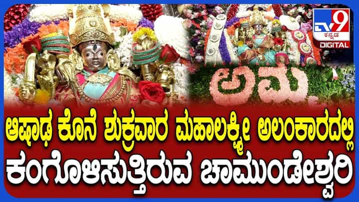 Video: ಆಷಾಢದ ಕೊನೆಯ ಶುಕ್ರವಾರ; ಮಹಾಲಕ್ಷ್ಮೀ ಅಲಂಕಾರದಲ್ಲಿ ಕಂಗೊಳಿಸಿದ ಚಾಮುಂಡೇಶ್ವರಿ Video: ಆಷಾಢದ ಕೊನೆಯ ಶುಕ್ರವಾರ; ಮಹಾಲಕ್ಷ್ಮೀ ಅಲಂಕಾರದಲ್ಲಿ ಕಂಗೊಳಿಸಿದ ಚಾಮುಂಡೇಶ್ವರಿ