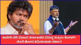 ಕಾವೇರಿ ನೀರಿಗಾಗಿ ಸುಪ್ರೀಂ ಕೋರ್ಟ್ ಮೆಟ್ಟಿಲೇರಿದ ತಮಿಳುನಾಡು ಸಿಎಂ ವಿಜಯ್