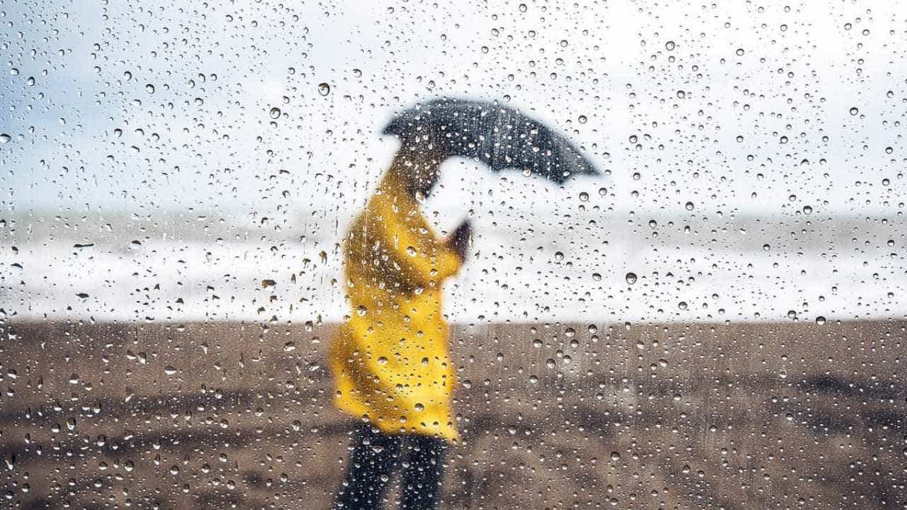 Karnataka Weather Forecast: ರಾಜ್ಯದಲ್ಲಿ ಮಾನ್ಸೂನ್ ಅಬ್ಬರ; ಚಿಕ್ಕಮಗಳೂರು, ಹಾಸನ ಸೇರಿ 6 ಜಿಲ್ಲೆಗಳಿಗೆ ಯೆಲ್ಲೋ ಅಲರ್ಟ್​