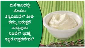 ಮಳೆಗಾಲದಲ್ಲಿ ಮೊಸರು ತಿನ್ನುವುದು ಸುರಕ್ಷಿತವೇ?
