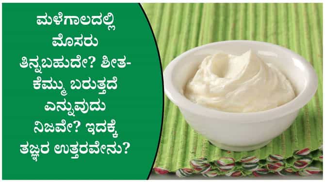 ಮಳೆಗಾಲದಲ್ಲಿ ಮೊಸರು ತಿನ್ನುವುದು ಸುರಕ್ಷಿತವೇ?