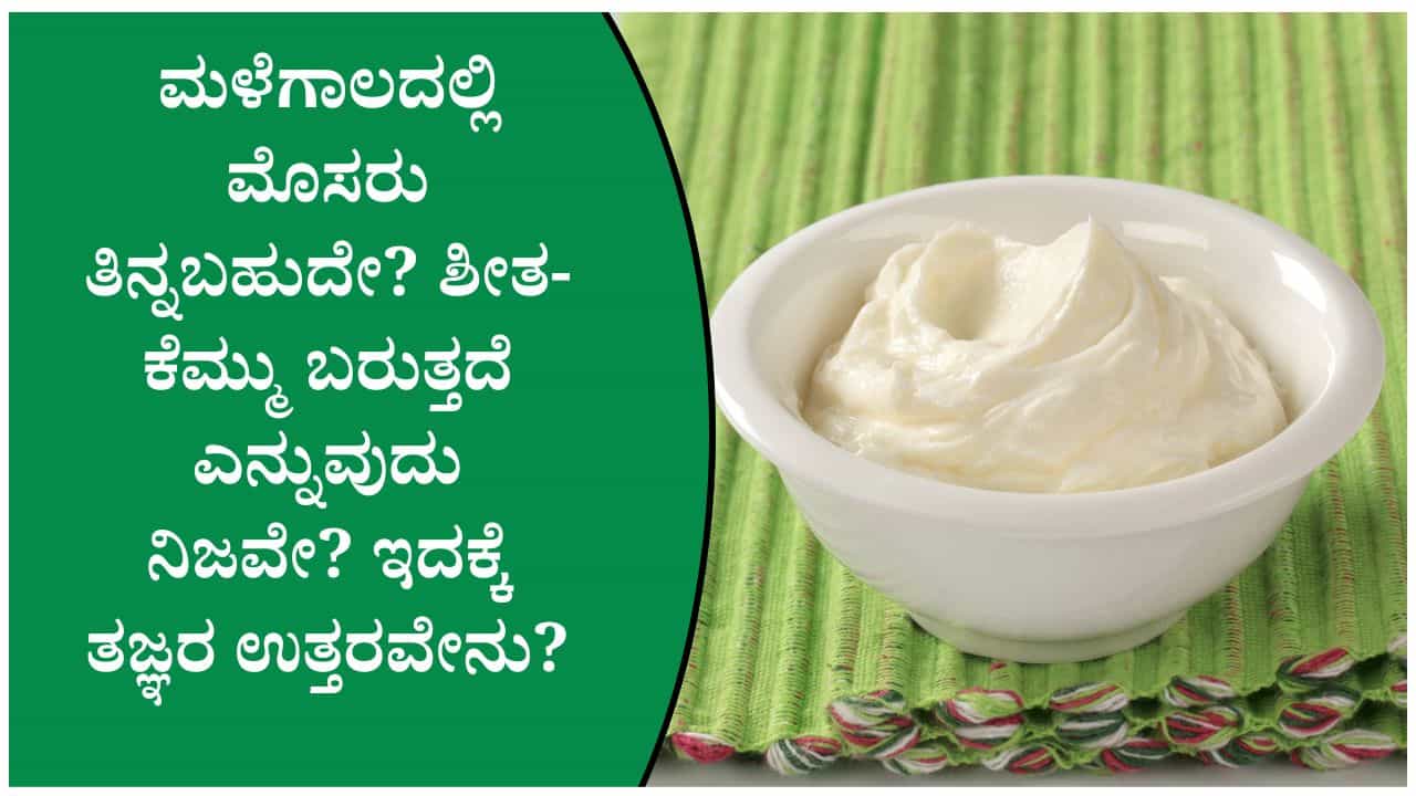 ಮಳೆಗಾಲದಲ್ಲಿ ಮೊಸರು ತಿಂದರೆ ಶೀತ, ಕೆಮ್ಮು ಹೆಚ್ಚುತ್ತಾ? ಈ ವಿಚಾರದಲ್ಲಿ ತಜ್ಞರು ಹೇಳುವುದೇನು? ಮಳೆಗಾಲದಲ್ಲಿ ಮೊಸರು ತಿಂದರೆ ಶೀತ, ಕೆಮ್ಮು ಹೆಚ್ಚುತ್ತಾ? ಈ ವಿಚಾರದಲ್ಲಿ ತಜ್ಞರು ಹೇಳುವುದೇನು?