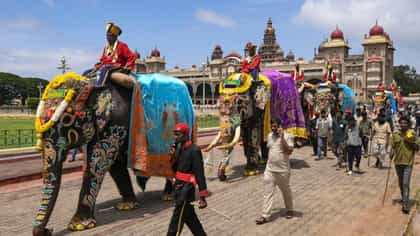 ಮೈಸೂರು ದಸರಾ: ಗಜಪಡೆಯ ತೂಕ ಪರೀಕ್ಷೆ; ಶ್ರೀಕಂಠನಿಗೆ ಮೊದಲ ಸ್ಥಾನ