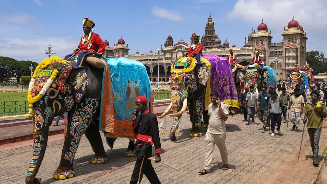 ಮೈಸೂರು ದಸರಾ: ಗಜಪಡೆಯ ತೂಕ ಮಾಪನ ಕಾರ್ಯ; ಮೊದಲ ಸ್ಥಾನ ಪಡೆದ ಶ್ರೀಕಂಠ