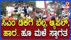DK Shivakumar Rally in Mysore: ಮೈಸೂರಲ್ಲಿ ಸಿಎಂ ಡಿ.ಕೆ ಶಿವಕುಮಾರ್ ಭರ್ಜರಿ ರೋಡ್ ಶೋ