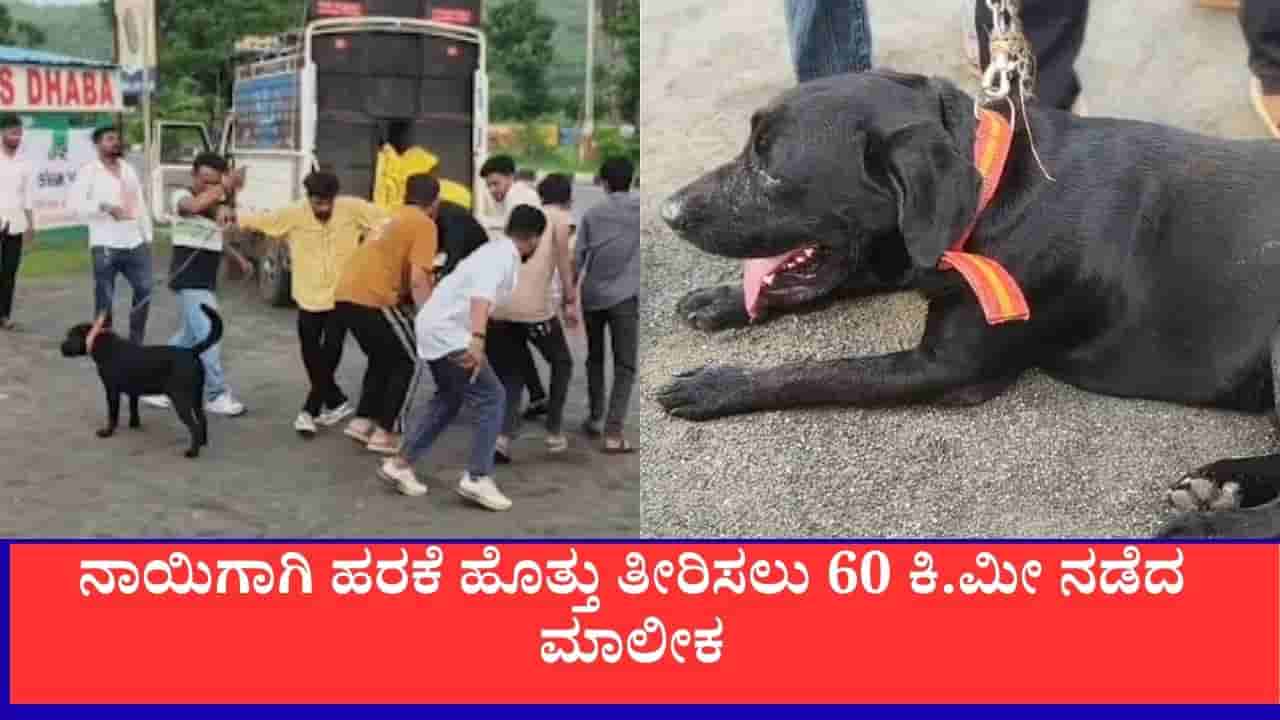 3.5 ತಿಂಗಳ ನಂತರ ಮನೆಗೆ ಮರಳಿದ ಸಾಕುನಾಯಿ: ಅಂಬಾಜಿ ದೇವಿ ಹರಕೆ ತೀರಿಸಲು 60 ಕಿ.ಮೀ ನಡೆದ ಮಾಲೀಕ