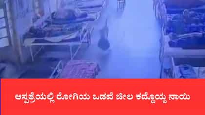 ಆಸ್ಪತ್ರೆಯಲ್ಲಿ ರೋಗಿ ಬಳಿ ಇದ್ದ ಒಡವೆ ಬ್ಯಾಗ್ ಕದ್ದೊಯ್ದ ನಾಯಿ