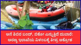ದುಬಾರೆ ದುರಂತಕ್ಕೆ 2.5 ತಿಂಗಳು: ಇಂದಿಗೂ ಜಾರಿಯಾಗದ ಎಸ್‌ಒಪಿ, ಲಕ್ಷಾಂತರ ರೂ. ನಷ್ಟದಲ್ಲಿ ರಾಫ್ಟಿಂಗ್ ಉದ್ಯಮಿಗಳು
