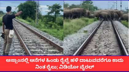 ಅಸ್ಸಾಂನಲ್ಲಿ ಆನೆಗಳ ಹಿಂಡು ರೈಲ್ವೆ ಹಳಿ ದಾಟುವವರೆಗೂ ಕಾದು ನಿಂತ ರೈಲು