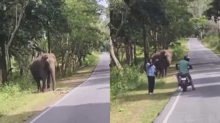 ಒಂಟಿ ಸಲಗದ ಜತೆ ಪ್ರಾಣ ಪಣಕ್ಕಿಟ್ಟು ಸೆಲ್ಫಿ; ಬೈಕ್ ಸವಾರರ ಹುಚ್ಚಾಟ! ಒಂಟಿ ಸಲಗದ ಜತೆ ಪ್ರಾಣ ಪಣಕ್ಕಿಟ್ಟು ಸೆಲ್ಫಿ; ಬೈಕ್ ಸವಾರರ ಹುಚ್ಚಾಟ!