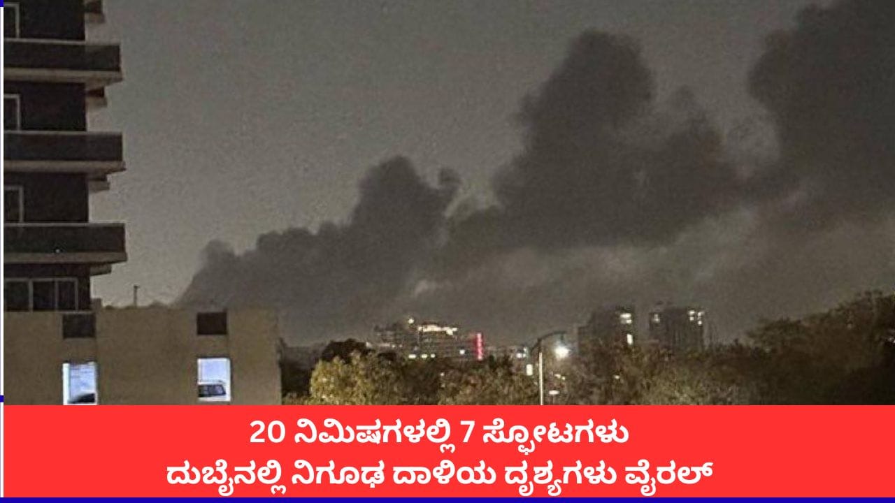 ದುಬೈನ ಜೆಬೆಲ್ ಅಲಿ ಕೈಗಾರಿಕಾ ವಲಯದಲ್ಲಿ ಸರಣಿ ಸ್ಫೋಟ