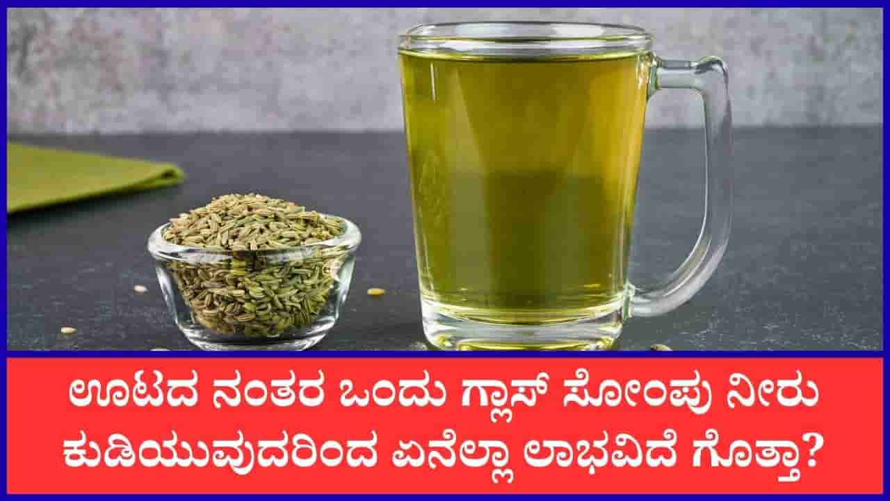 Fennel Seed Water: ಪ್ರತಿದಿನ ಸೋಂಪು ನೀರು ಕುಡಿಯುವುದರಿಂದ ದೇಹಕ್ಕೆ ಏನೆಲ್ಲಾ ಪ್ರಯೋಜನಗಳು ಲಭಿಸುತ್ತದೆ?