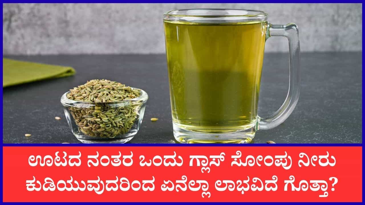 Fennel Seed Water: ಪ್ರತಿದಿನ ಸೋಂಪು ನೀರು ಕುಡಿಯುವುದರಿಂದ ದೇಹಕ್ಕೆ ಏನೆಲ್ಲಾ ಪ್ರಯೋಜನಗಳು ಲಭಿಸುತ್ತದೆ?
