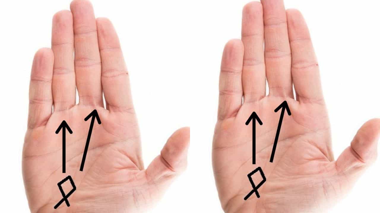 Palmistry: ಹಸ್ತಸಾಮುದ್ರಿಕ ಶಾಸ್ತ್ರದ ಪ್ರಕಾರ ಅಂಗೈಯಲ್ಲಿ ಮೀನಿನ ಗುರುತು ಇದ್ದರೆ ಏನರ್ಥ ಗೊತ್ತಾ?