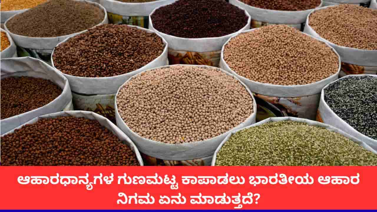 ಆಹಾರಧಾನ್ಯಗಳ ಗುಣಮಟ್ಟ ಕಾಪಾಡಲು ಭಾರತೀಯ ಆಹಾರ ನಿಗಮ ಏನು ಮಾಡುತ್ತದೆ?