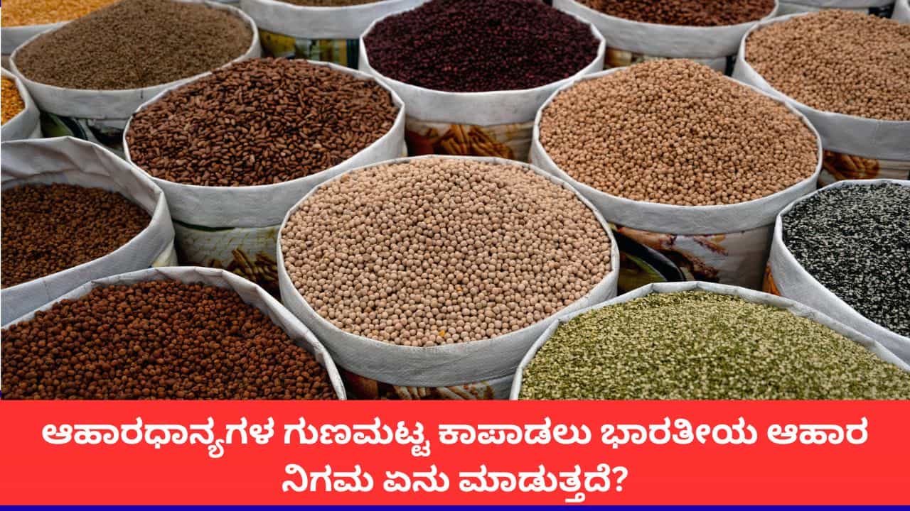 ಆಹಾರಧಾನ್ಯಗಳ ಗುಣಮಟ್ಟ ಕಾಪಾಡಲು ಭಾರತೀಯ ಆಹಾರ ನಿಗಮ ಏನು ಮಾಡುತ್ತದೆ?