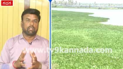 ತುಂಗಭದ್ರೆಗೆ ಕಂಟಕ ತಂದ ‘ಅಂತರಗಂಗೆ’! ಕಲುಷಿತಗೊಂಡ ಗದಗ ಜಿಲ್ಲೆಯ ಜೀವನಾಡಿ