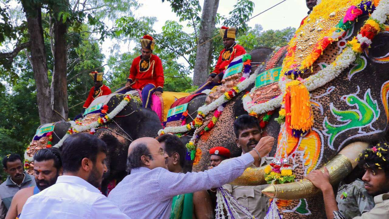 ನಾಗರಹೊಳೆ ಕಾಡಿನಂಚಿನ ವೀರನಹೊಸಹಳ್ಳಿಯಲ್ಲಿ ಸಂಪ್ರದಾಯಬದ್ಧ ಪೂಜೆ ಹಾಗೂ ಪುಷ್ಪಾರ್ಚನೆ ಸಲ್ಲಿಸಿ 2026ರ ವಿಶ್ವವಿಖ್ಯಾತ ಮೈಸೂರು ದಸರಾ ಮಹೋತ್ಸವದ ಗಜಪಯಣಕ್ಕೆ ಇಂದು ಸಚಿವ ಡಾ. ಯತೀಂದ್ರ ಸಿದ್ದರಾಮಯ್ಯ ಭಕ್ತಿಪೂರ್ವಕ ಚಾಲನೆ ನೀಡಿದರು. ಸತತ ಆರು ಬಾರಿ ಚಿನ್ನದ ಅಂಬಾರಿ ಹೊತ್ತು ರಾಜಗಾಂಭೀರ್ಯದಿಂದ ಹೆಜ್ಜೆ ಹಾಕಿದ್ದ ಕ್ಯಾಪ್ಟನ್ ಅಭಿಮನ್ಯುವಿಗೆ ಗೌರವಪೂರ್ವಕ ಬೀಳ್ಕೊಡುಗೆ ನೀಡಲಾಯಿತು.