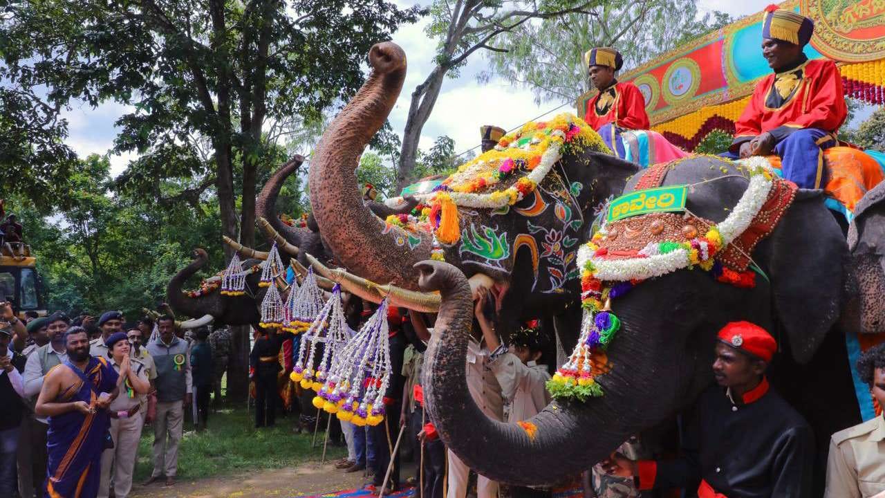 ಆಗಸ್ಟ್ 28ರಂದು ಅರಣ್ಯ ಭವನದಿಂದ ಅರಮನೆ ಪ್ರವೇಶಿಸಲಿರುವ ಗಜಪಡೆಗೆ ಭಾರ ಹೊರುವ ತಾಲೀಮು ಆರಂಭವಾಗಲಿದೆ. ಸದ್ಯ ಅಭಿಮನ್ಯುವಿನ ನಂತರ ತಾಯಿ ಚಾಮುಂಡೇಶ್ವರಿಯ ಸ್ವರ್ಣ ಸಿಂಹಾಸನ ಹೊರಲಿರುವ ನೂತನ ಅಂಬಾರಿ ಆನೆ ಯಾವುದು ಎಂಬ ಕುತೂಹಲ ಗರಿಗೆದರಿದೆ.