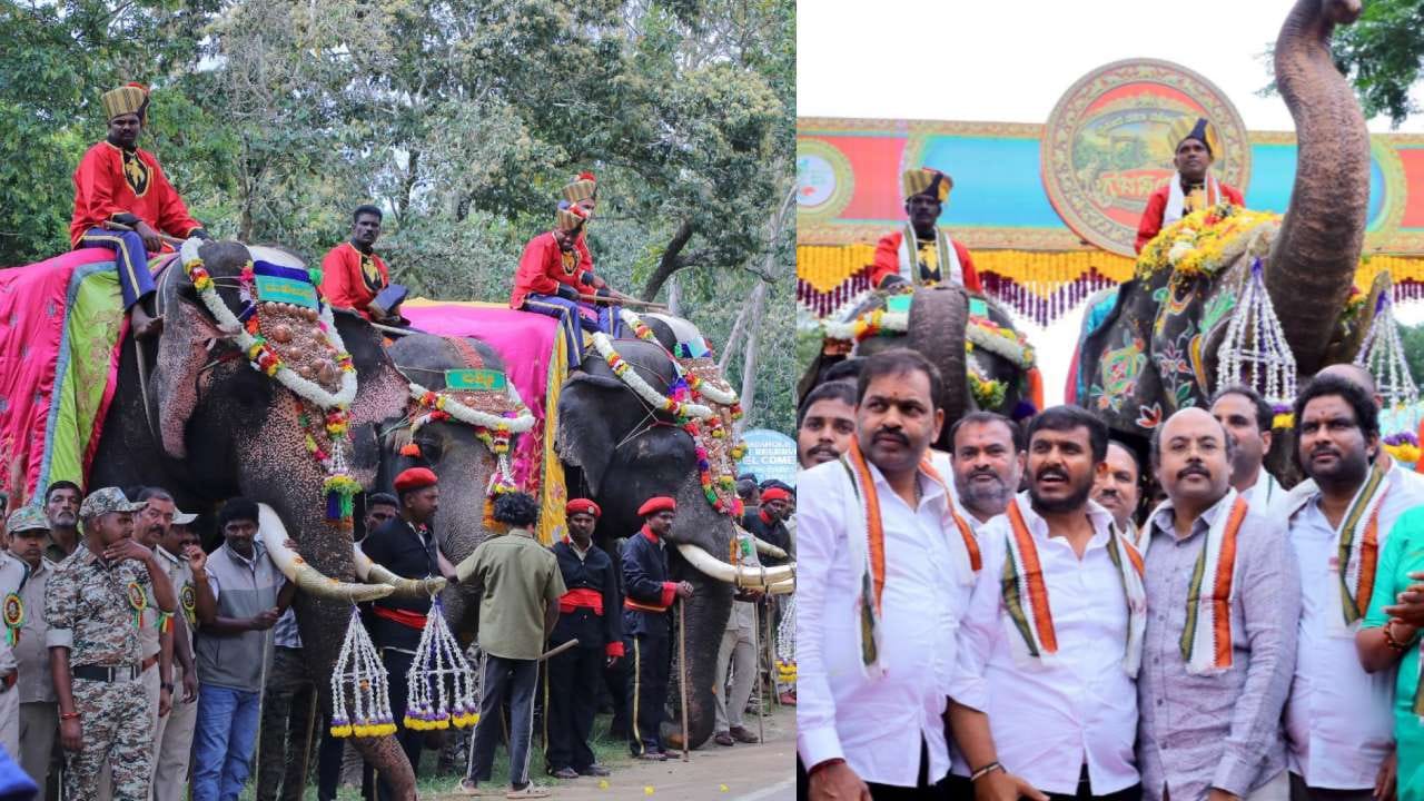 ವೀರನಹೊಸಹಳ್ಳಿಯಿಂದ ಸಾಂಸ್ಕೃತಿಕ ನಗರಿ ಮೈಸೂರಿಗೆ ಬಂದಿಳಿದ 9 ಆನೆಗಳ ಮೊದಲ ತಂಡಕ್ಕೆ ಅರಣ್ಯ ಭವನದ ಆವರಣದಲ್ಲಿ ಅಧಿಕಾರಿಗಳು, ಸಿಬ್ಬಂದಿ ಆದರದಿಂದ ಬರಮಾಡಿಕೊಂಡು ವಾಸ್ತವ್ಯಕ್ಕೆ ಸಕಲ ವ್ಯವಸ್ಥೆ ಕಲ್ಪಿಸಿದರು.