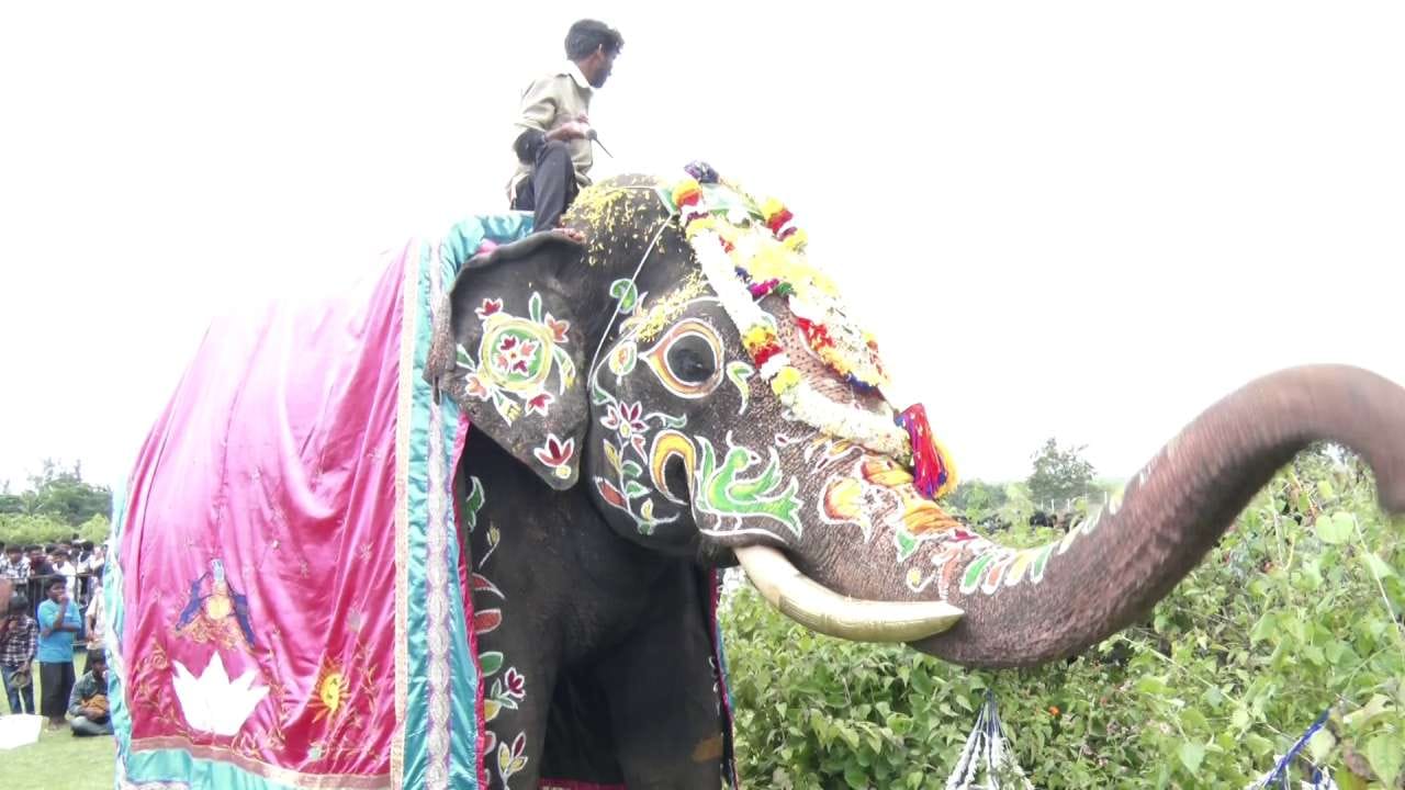 ಮೈತುಂಬಾ ಶಂಖ, ಚಕ್ರ, ಗಂಡಭೇರುಂಡ ಮತ್ತು ನವಿರಾದ ಹೂವಿನ ಚಿತ್ತಾರಗಳಿಂದ ಸಿಂಗಾರಗೊಂಡಿದ್ದ ಕ್ಯಾಪ್ಟನ್ ಅಭಿಮನ್ಯು, ಗಜಪಯಣದ ಪ್ರಧಾನ ಆಕರ್ಷಣೆಯಾಗಿದ್ದ. ವಿಶೇಷ ಪೂಜೆ ಸಲ್ಲಿಸಿ, ಫಲತಾಂಬೂಲ ಹಾಗೂ ತಿಂಡಿ-ತಿನಿಸುಗಳ ನೈವೇದ್ಯ ಅರ್ಪಿಸಿ ಗಜಪಡೆಗೆ ಗಣ್ಯರು ಪುಷ್ಪಾರ್ಚನೆ ಮಾಡಿದರು.