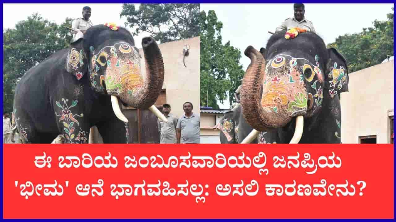 ಭೀಮನ ಅಭಿಮಾನಿಗಳಿಗೆ ನಿರಾಸೆ: ಈ ಬಾರಿಯ ಜಂಬೂಸವಾರಿಯಲ್ಲಿ ಭಾಗವಹಿಸಲ್ಲ; ಕಾರಣವೇನು ಗೊತ್ತಾ?
