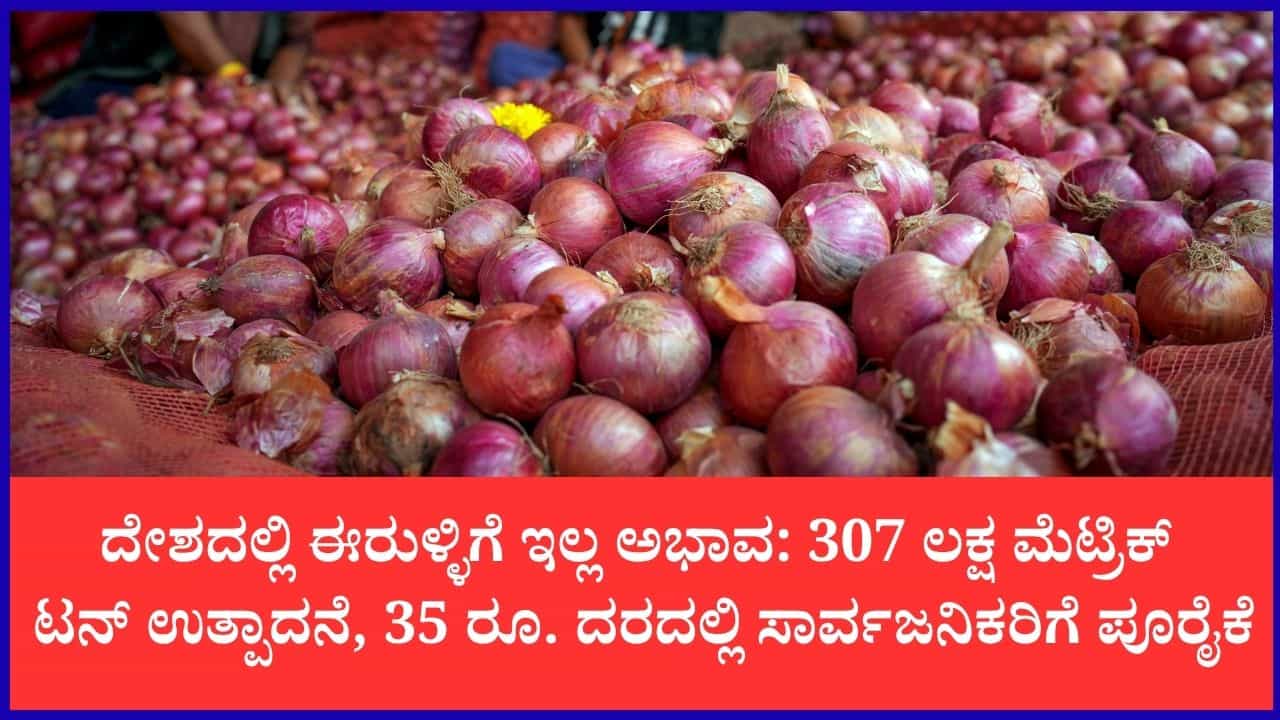 ಹಬ್ಬದ ಸೀಸನ್‌ನಲ್ಲಿ ಗ್ರಾಹಕರಿಗೆ ಬಿಗ್ ರಿಲೀಫ್: ಕೆಜಿಗೆ ಕೇವಲ 35 ರೂ.ಗೆ ಈರುಳ್ಳಿ ಮಾರಾಟ ಆರಂಭಿಸಿದ ಕೇಂದ್ರ