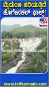 ಮೈದುಂಬಿ ಹರಿಯುತ್ತಿದೆ ಹೊಗೇನಕಲ್ ಫಾಲ್ಸ್