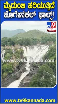ಮೈದುಂಬಿ ಹರಿಯುತ್ತಿದೆ ಹೊಗೇನಕಲ್ ಫಾಲ್ಸ್