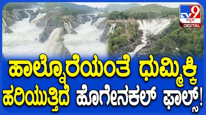 ಕಾವೇರಿ ಜಲಾನಯನ ಪ್ರದೇಶದಲ್ಲಿ ಮಳೆ ಅಬ್ವರ: ಭೋರ್ಗರೆಯುತ್ತಿರುವ ಹೊಗೇನಕಲ್ ಜಲಪಾತ ಕಾವೇರಿ ಜಲಾನಯನ ಪ್ರದೇಶದಲ್ಲಿ ಮಳೆ ಅಬ್ವರ: ಭೋರ್ಗರೆಯುತ್ತಿರುವ ಹೊಗೇನಕಲ್ ಜಲಪಾತ