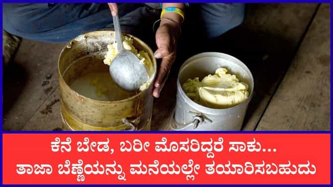 ಮೊಸರಿನಿಂದ ತಾಜಾ ಬೆಣ್ಣೆ ತಯಾರಿಸುವ ಸುಲಭ ವಿಧಾನ