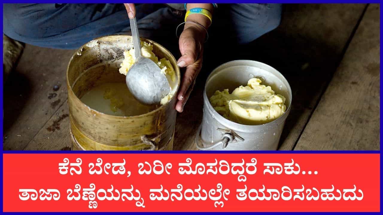 Homemade Butter: ಮೊಸರಿನಿಂದ ಫ್ರೆಶ್ ಬೆಣ್ಣೆ ತಯಾರಿಸಬಹುದು; ಅದಕ್ಕಾಗಿ ಈ ಸರಳ ಹಂತಗಳನ್ನು ಪಾಲಿಸಿ