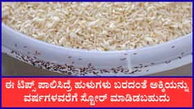 ಅಕ್ಕಿಯಲ್ಲಿ ಹುಳುಗಳಾಗದಂತೆ ನೋಡಿಕೊಳ್ಳುವುದು ಹೇಗೆ?