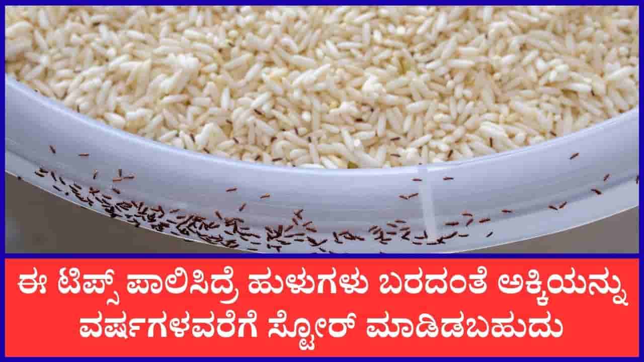 ಡಬ್ಬಗಳಲ್ಲಿ ಶೇಖರಿಸಿಡುವ ಅಕ್ಕಿಯಲ್ಲಿ ಹುಳಗಳಾಗಂತೆ ತಡೆಯಲು ಈ ಸಿಂಪಲ್ ಟಿಪ್ಸ್ ಪಾಲಿಸಿ