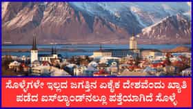 ಐಸ್‌ಲ್ಯಾಂಡ್‌ನಲ್ಲೂ ಪತ್ತೆಯಾಗಿದೆ ಸೊಳ್ಳೆ