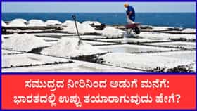ಭಾರತದಲ್ಲಿ ಸ್ಪಟಿಕದಂತಹ ಉಪ್ಪು ತಯಾರಾಗುವುದು ಹೇಗೆ?
