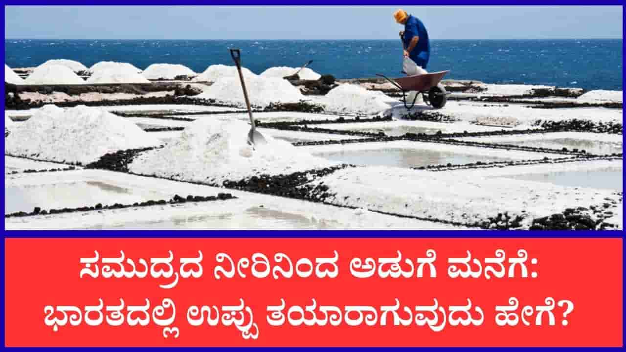 ಸಮುದ್ರದ ನೀರಿನಿಂದ ಅಡುಗೆ ಮನೆವರೆಗೆ: ಭಾರತದಲ್ಲಿ ಸ್ಪಟಿಕದಂತಹ ಉಪ್ಪು ತಯಾರಾಗುವುದು ಹೇಗೆ?