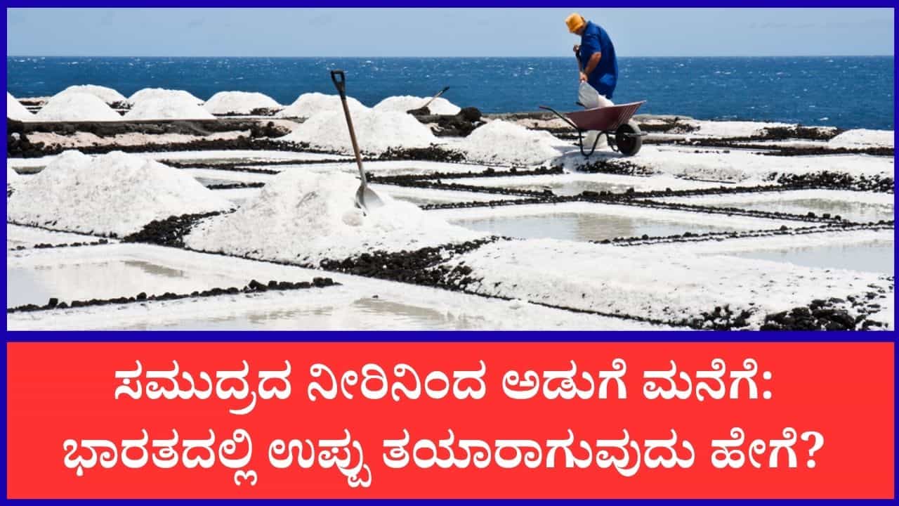 ಸಮುದ್ರದ ನೀರಿನಿಂದ ಅಡುಗೆ ಮನೆವರೆಗೆ: ಭಾರತದಲ್ಲಿ ಸ್ಪಟಿಕದಂತಹ ಉಪ್ಪು ತಯಾರಾಗುವುದು ಹೇಗೆ? ಸಮುದ್ರದ ನೀರಿನಿಂದ ಅಡುಗೆ ಮನೆವರೆಗೆ: ಭಾರತದಲ್ಲಿ ಸ್ಪಟಿಕದಂತಹ ಉಪ್ಪು ತಯಾರಾಗುವುದು ಹೇಗೆ?