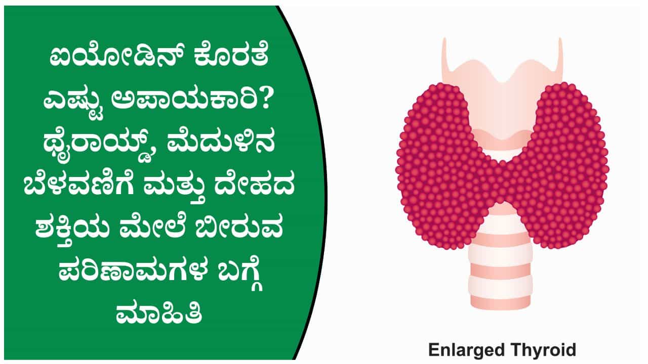 ಅಯೋಡಿನ್ ಕೊರತೆಯನ್ನು ನಿರ್ಲಕ್ಷಿಸಬೇಡಿ! ದೇಹದಲ್ಲಿ ಕಾಣಿಸಿಕೊಳ್ಳುವ ಪ್ರಮುಖ ಎಚ್ಚರಿಕೆ ಲಕ್ಷಣಗಳು ಅಯೋಡಿನ್ ಕೊರತೆಯನ್ನು ನಿರ್ಲಕ್ಷಿಸಬೇಡಿ! ದೇಹದಲ್ಲಿ ಕಾಣಿಸಿಕೊಳ್ಳುವ ಪ್ರಮುಖ ಎಚ್ಚರಿಕೆ ಲಕ್ಷಣಗಳು