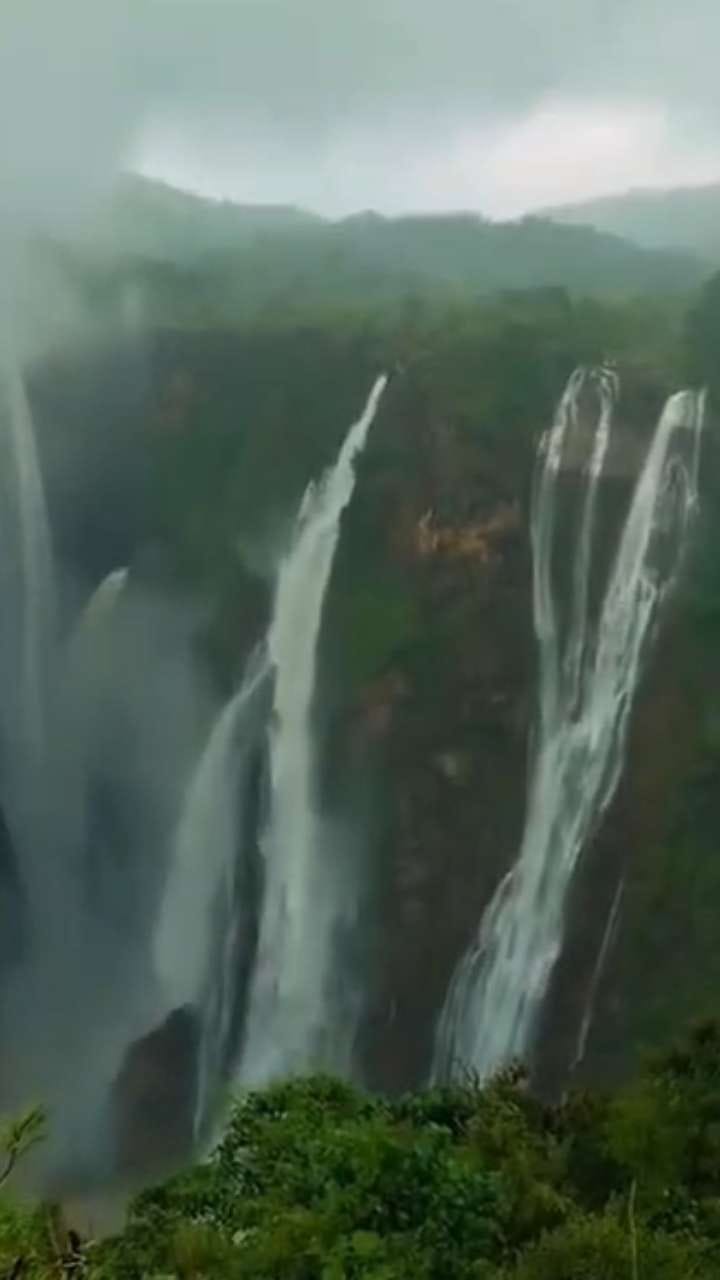 ಧಾರಾಕಾರ ಮಳೆಗೆ ಮೈದುಂಬಿದ ಜೋಗ ಜಲಪಾತ