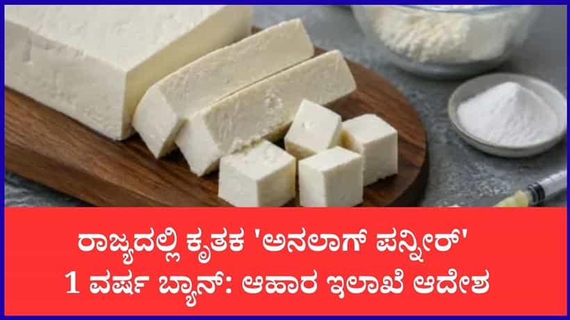 ಪನ್ನೀರ್ ಪ್ರಿಯರಿಗೆ ಶಾಕ್: ರಾಜ್ಯಾದ್ಯಂತ ಕೃತಕ ‘ಅನಲಾಗ್ ಪನ್ನೀರ್’ 1 ವರ್ಷ ಬ್ಯಾನ್ ಮಾಡಿ ಆಹಾರ ಇಲಾಖೆ ಆದೇಶ