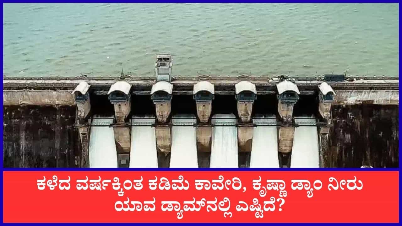 ಕರ್ನಾಟಕದ ಪ್ರಮುಖ ಜಲಾಶಯಗಳಲ್ಲಿ ಕಳೆದ ವರ್ಷಕ್ಕಿಂತ ಗಣನೀಯವಾಗಿ ತಗ್ಗಿದ ನೀರಿನ ಮಟ್ಟ: ಕಾವೇರಿ, ಕೃಷ್ಣಾ ಜಲಾನಯನ ಪ್ರದೇಶಗಳಲ್ಲಿ ಆತಂಕ ಕರ್ನಾಟಕದ ಪ್ರಮುಖ ಜಲಾಶಯಗಳಲ್ಲಿ ಕಳೆದ ವರ್ಷಕ್ಕಿಂತ ಗಣನೀಯವಾಗಿ ತಗ್ಗಿದ ನೀರಿನ ಮಟ್ಟ: ಕಾವೇರಿ, ಕೃಷ್ಣಾ ಜಲಾನಯನ ಪ್ರದೇಶಗಳಲ್ಲಿ ಆತಂಕ