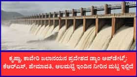 ರಾಜ್ಯದ ಜಲಾಶಯಗಳ ಇಂದಿನ ನೀರಿನ ಮಟ್ಟ